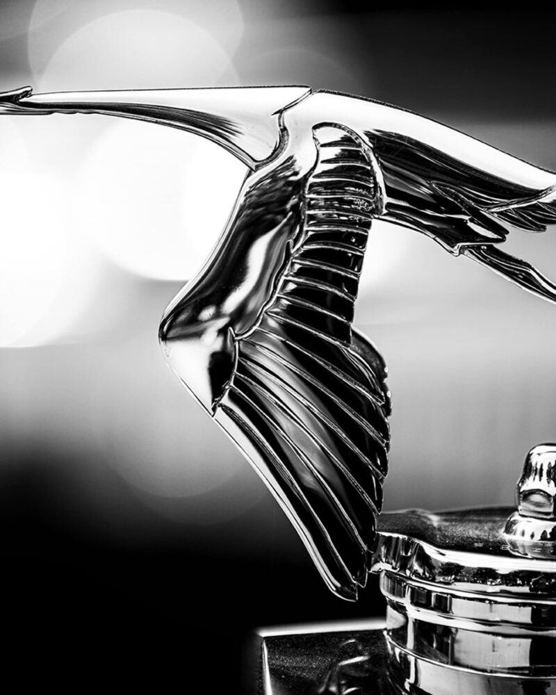 Hispano-Suiza - La Cigogne - Frame Detail