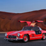 The Red Gullwing - Fine Art Photography by Tim Scott