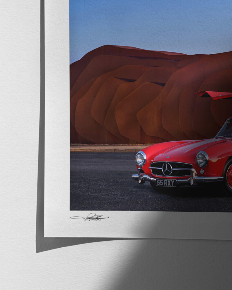 The Red Gullwing - Print Quality Close-up